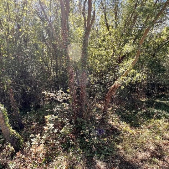POLE SUD IMMOBILIER : Terrain | LIGNAN-SUR-ORB (34490) | m2 | 6 500 € 