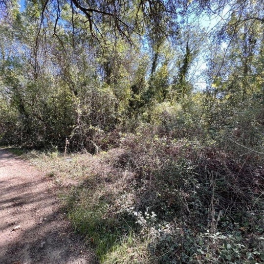  POLE SUD IMMOBILIER : Terrain | LIGNAN-SUR-ORB (34490) | 0 m2 | 6 500 € 