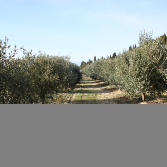  POLE SUD IMMOBILIER : Maison / Villa | BEZIERS (34500) | 98 m2 | 470 000 € 
