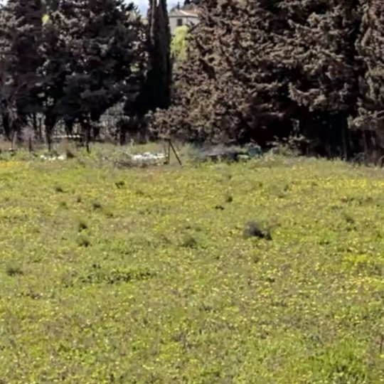 POLE SUD IMMOBILIER : Terrain | MARAUSSAN (34370) | m2 | 756 000 € 
