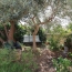 POLE SUD IMMOBILIER : Maison / Villa | AGDE (34300) | 159 m2 | 335 000 € 