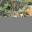  POLE SUD IMMOBILIER : Building | LA SALVETAT-SUR-AGOUT (34330) | 282 m2 | 233 000 € 