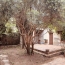  POLE SUD IMMOBILIER : Maison / Villa | OLONZAC (34210) | 297 m2 | 290 000 &euro; 