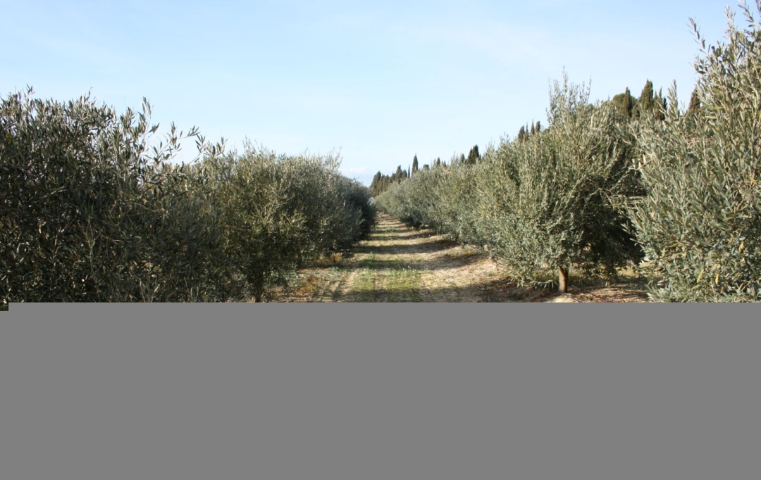 POLE SUD IMMOBILIER : Maison / Villa | BEZIERS (34500) | 98 m2 | 470 000 € 