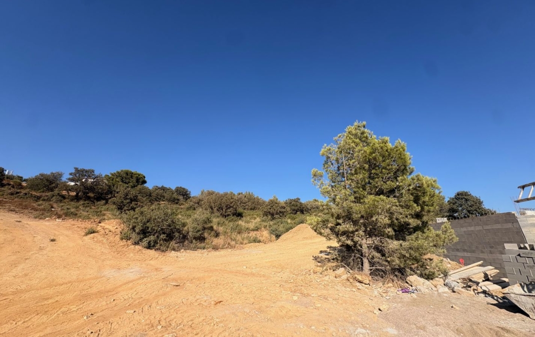 POLE SUD IMMOBILIER : Terrain | SAINT-ANDRE-DE-ROQUELONGUE (11200) | 0 m2 | 110 000 &euro; 
