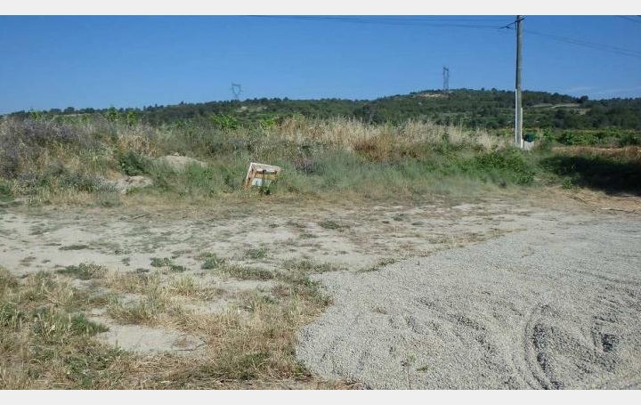 POLE SUD IMMOBILIER : Terrain | CRUZY (34310) | 0 m2 | 63 000 € 