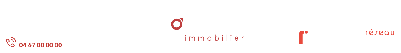 POLE SUD IMMOBILIER